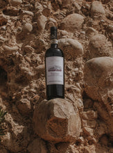 Carica l'immagine nel visualizzatore di Gallery, Taurasi DOCG 2016 - Claudio Quarta Vignaiolo Shop