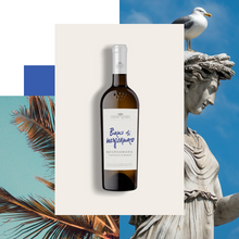 Carica l'immagine nel visualizzatore di Gallery, Bianco di Negroamaro - Claudio Quarta Vignaiolo Shop