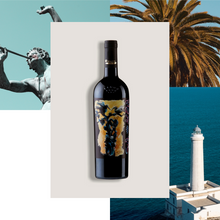 Carica l'immagine nel visualizzatore di Gallery, Sud del Sud + Sciarpa in pura Seta firmata Claudio Quarta Vignaiolo - Claudio Quarta Vignaiolo Shop